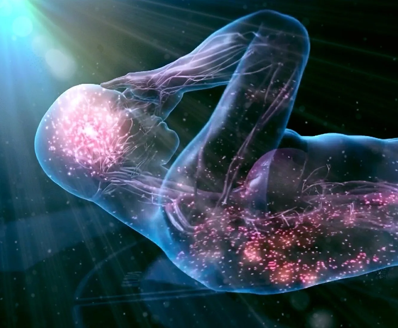 Care Through the Mind & Body Connection